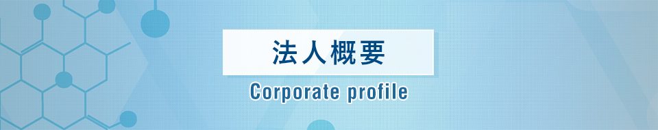 法⼈概要 Corporate profile
