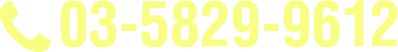 03-5829-9612