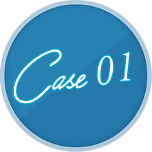 case 01